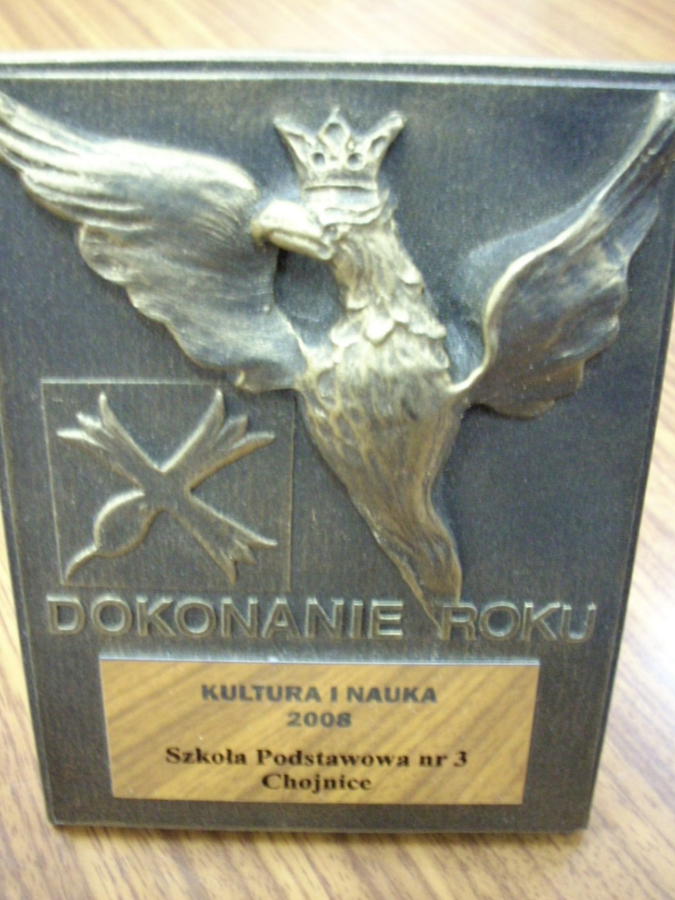 Dokonania Roku 2008